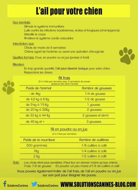 aliments - Aliments toxiques ou à éviter pour le chien - Page 4 Lail-pour-votre-chien2